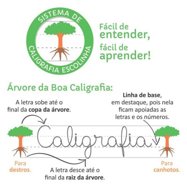 Livro Escolinha Escreva e Apague II Letras Maiusculas TL - Image 4