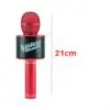 Microfone The Voice Brasil Karaoke CKS