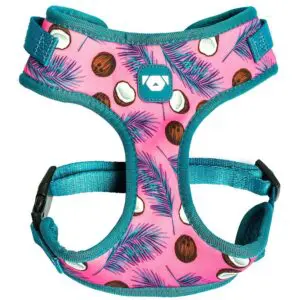 Peitoral Coleira Mesh Coconut Tamanho M Meemo