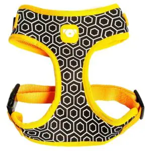 Peitoral Coleira Mesh Colmeia Tamanho M Meemo