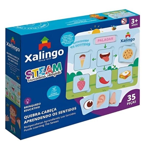 Steam Quebra Cabeca Apendendo Os Sentidos Xalingo - Imagem 4