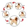 Brinquedo Cachorro Pula Pula Fantastic Puppy - Imagem 2