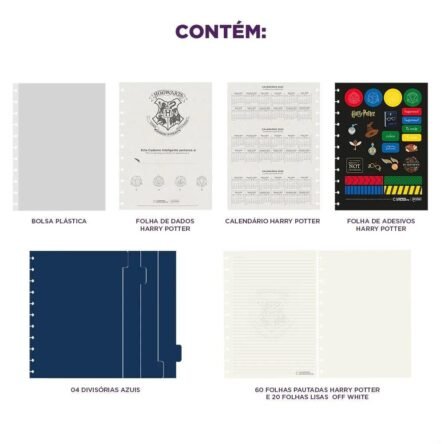 Caderno Inteligente By Harry Potter Azul Medio 80 Folhas