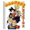 Caderno Universitario Dragon Ball Goku E Vegetta 1M 80F SD